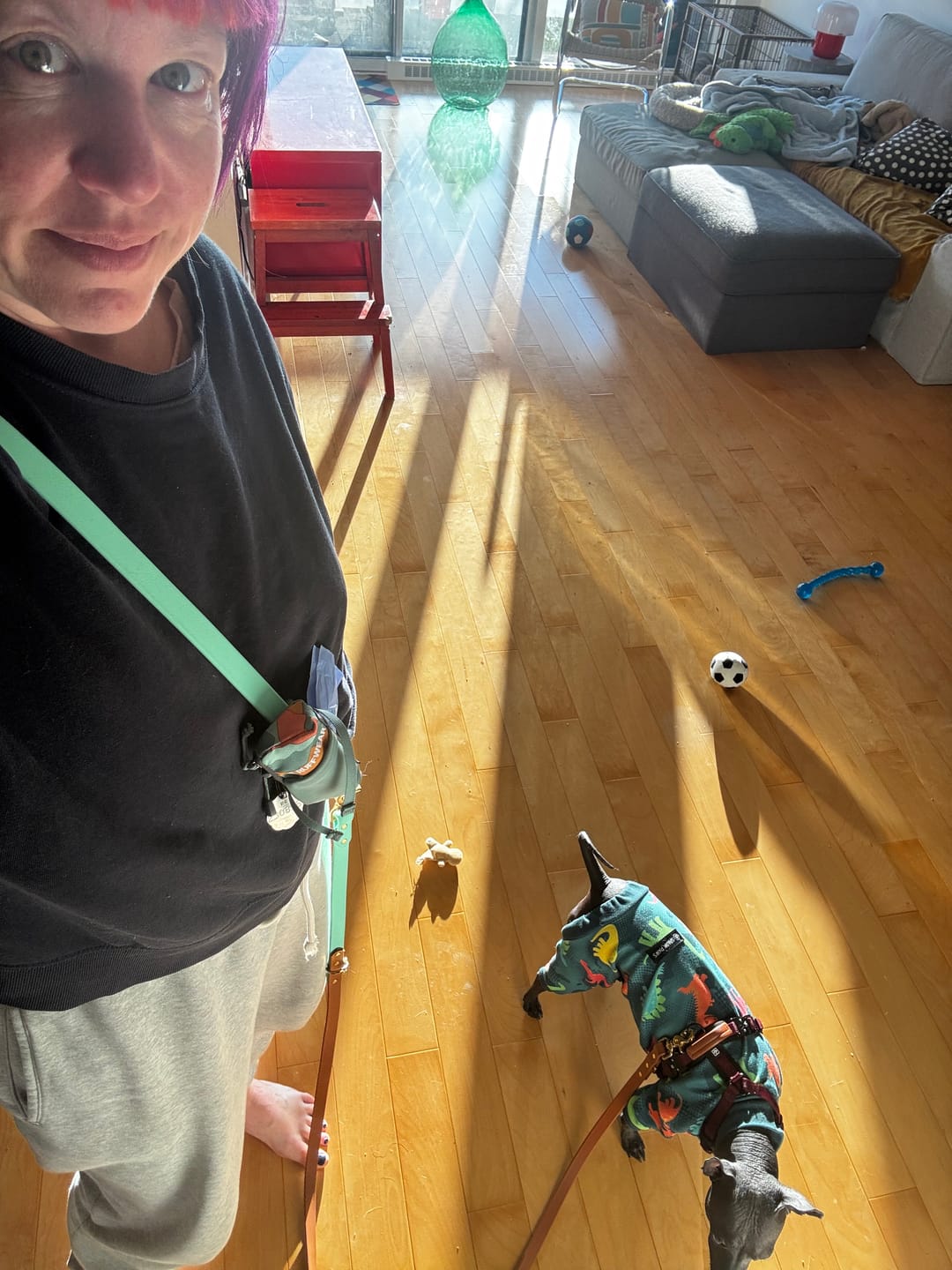 Customer photo review of Hands-Free Leash Adapter