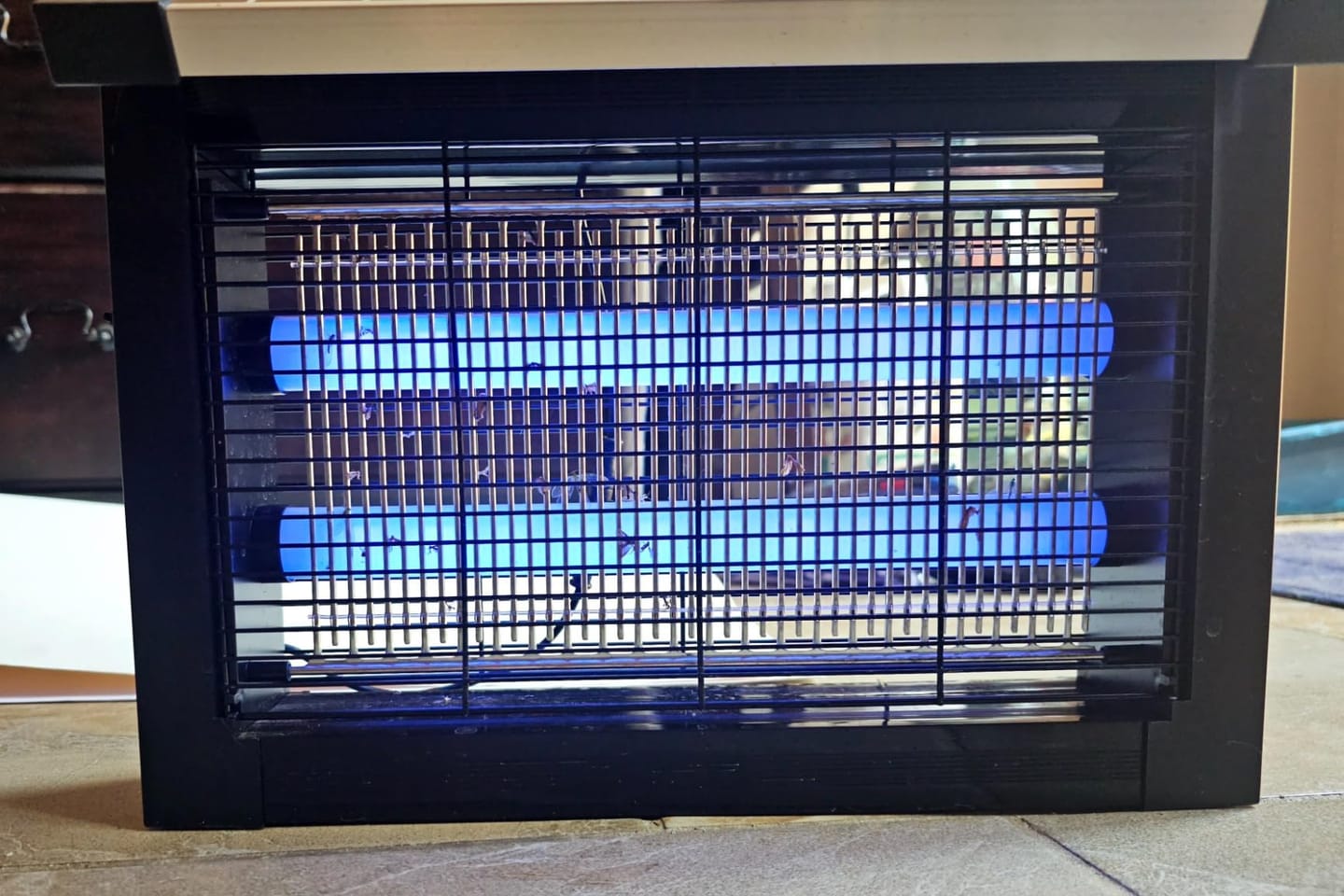 Customer photo review of GroundGuard Sentinel — Solar Bug Zapper