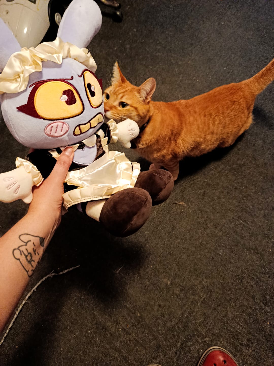Customer photo review of Maid Jax Plush
