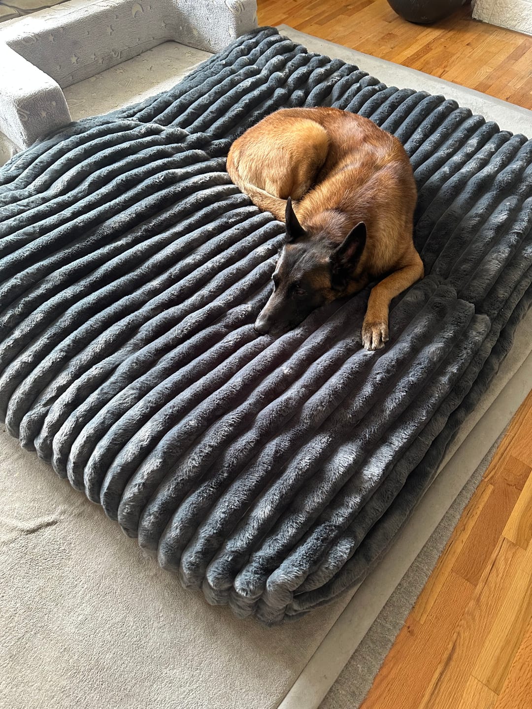Customer photo review of Muscle Mat CloudPad