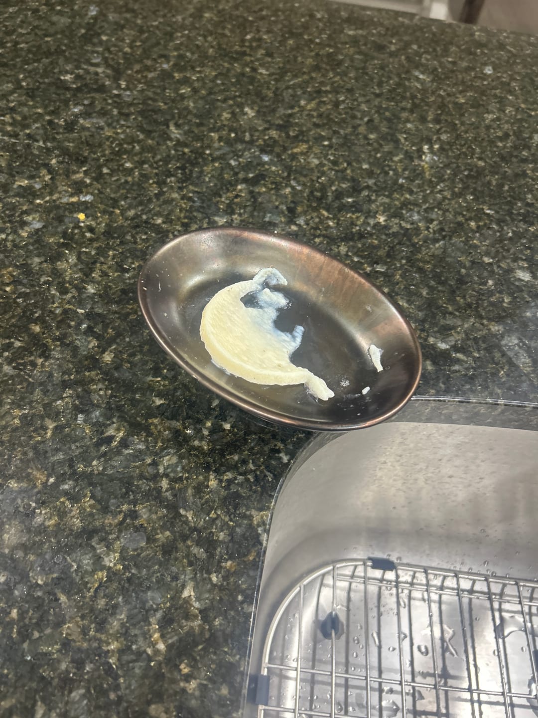 Customer photo review of Tallow Dish Soap