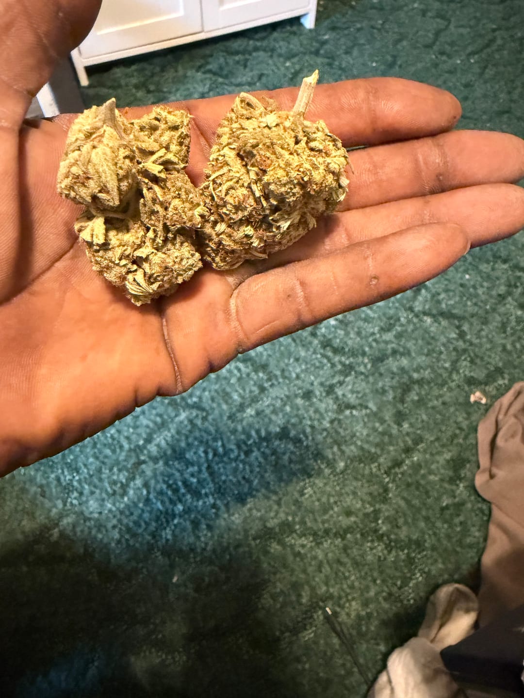 Customer photo review of Panama Red THCA Flower