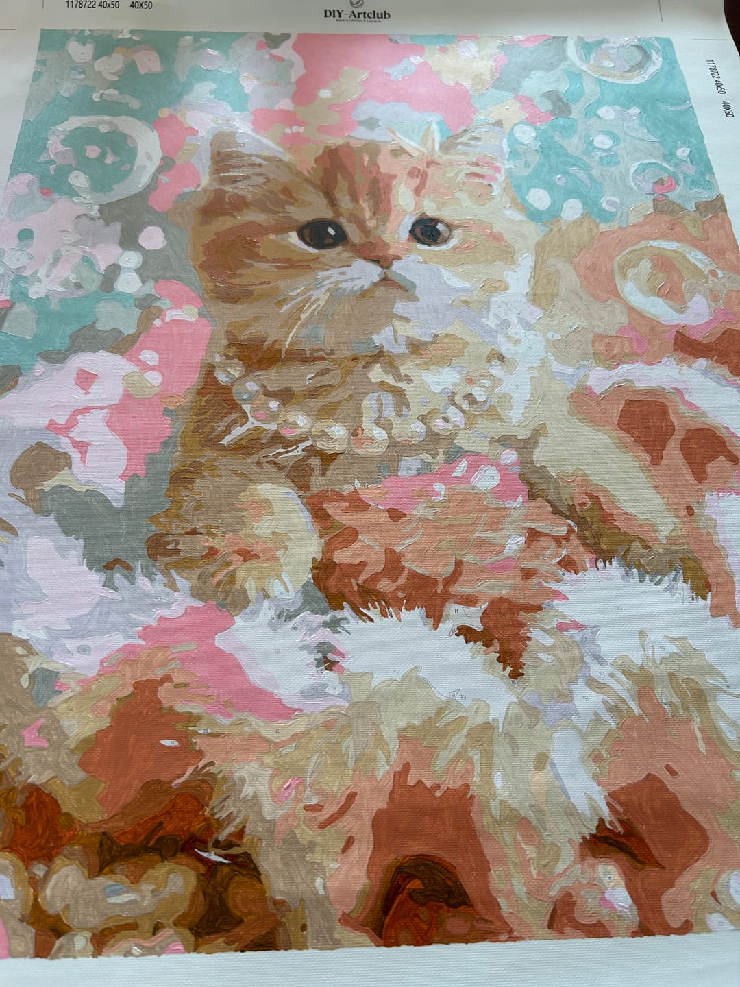 Customer photo review of Princess Purr | Paint by Number