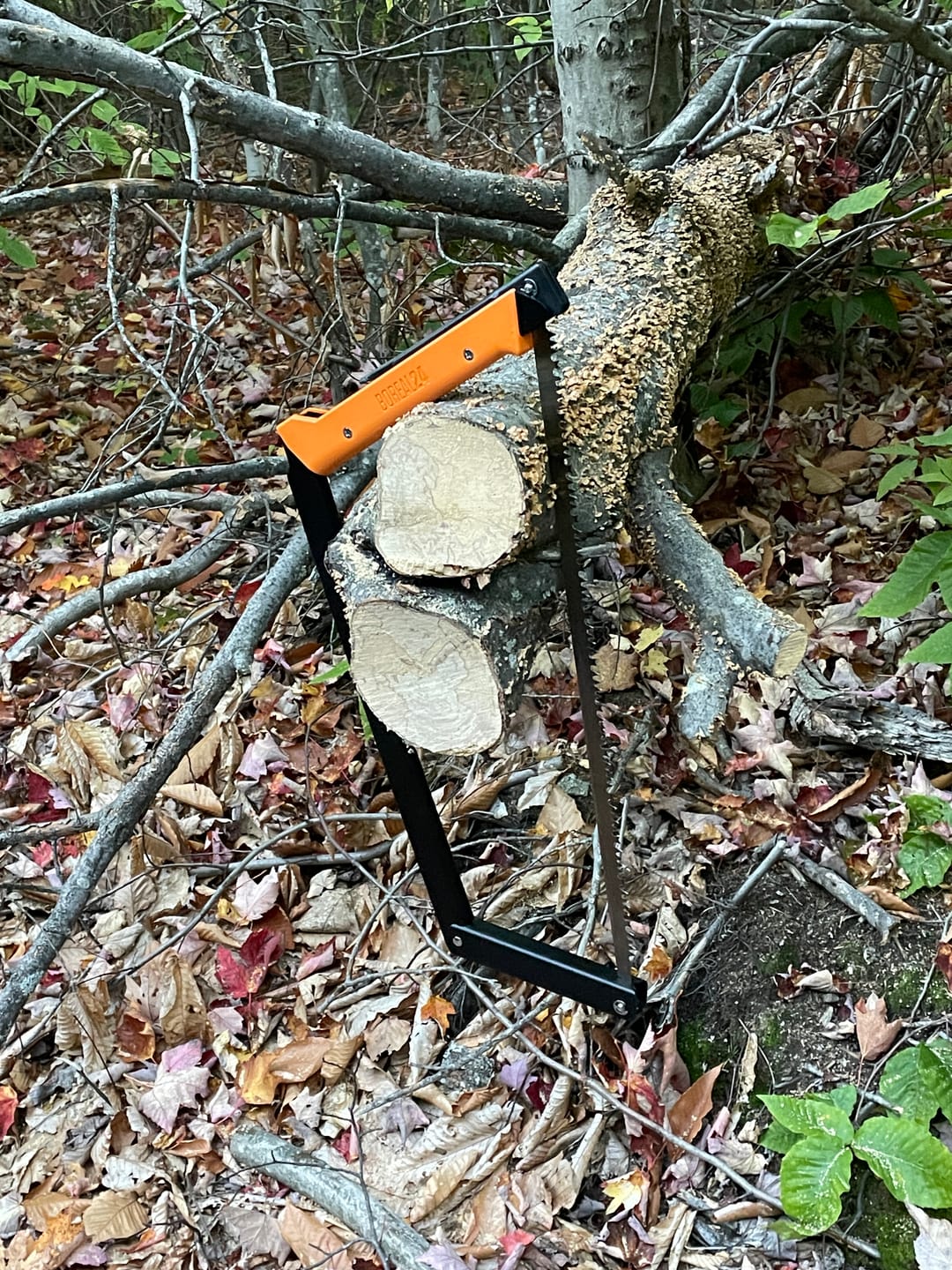 Customer photo review of Agawa BOREAL24 Saw