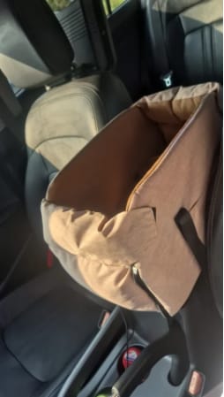 Customer photo review of ™PawPilot- מושב בוסטר יוקרתי לרכב