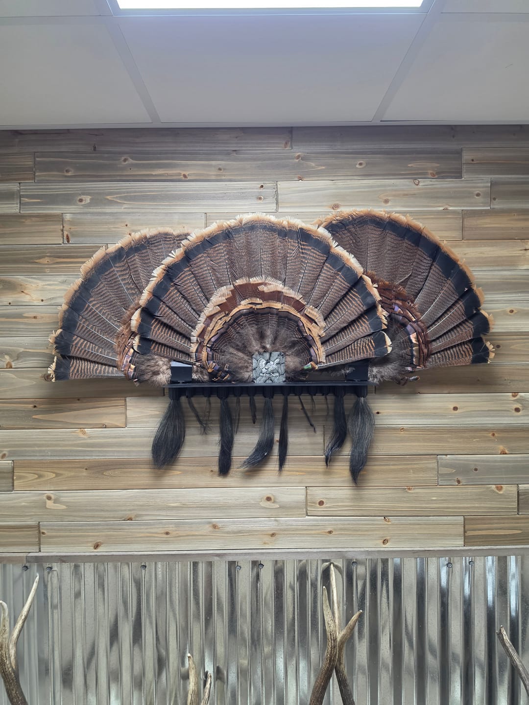 Customer photo review of Beard Shelf | Turkey Beard/Leg/Fan System