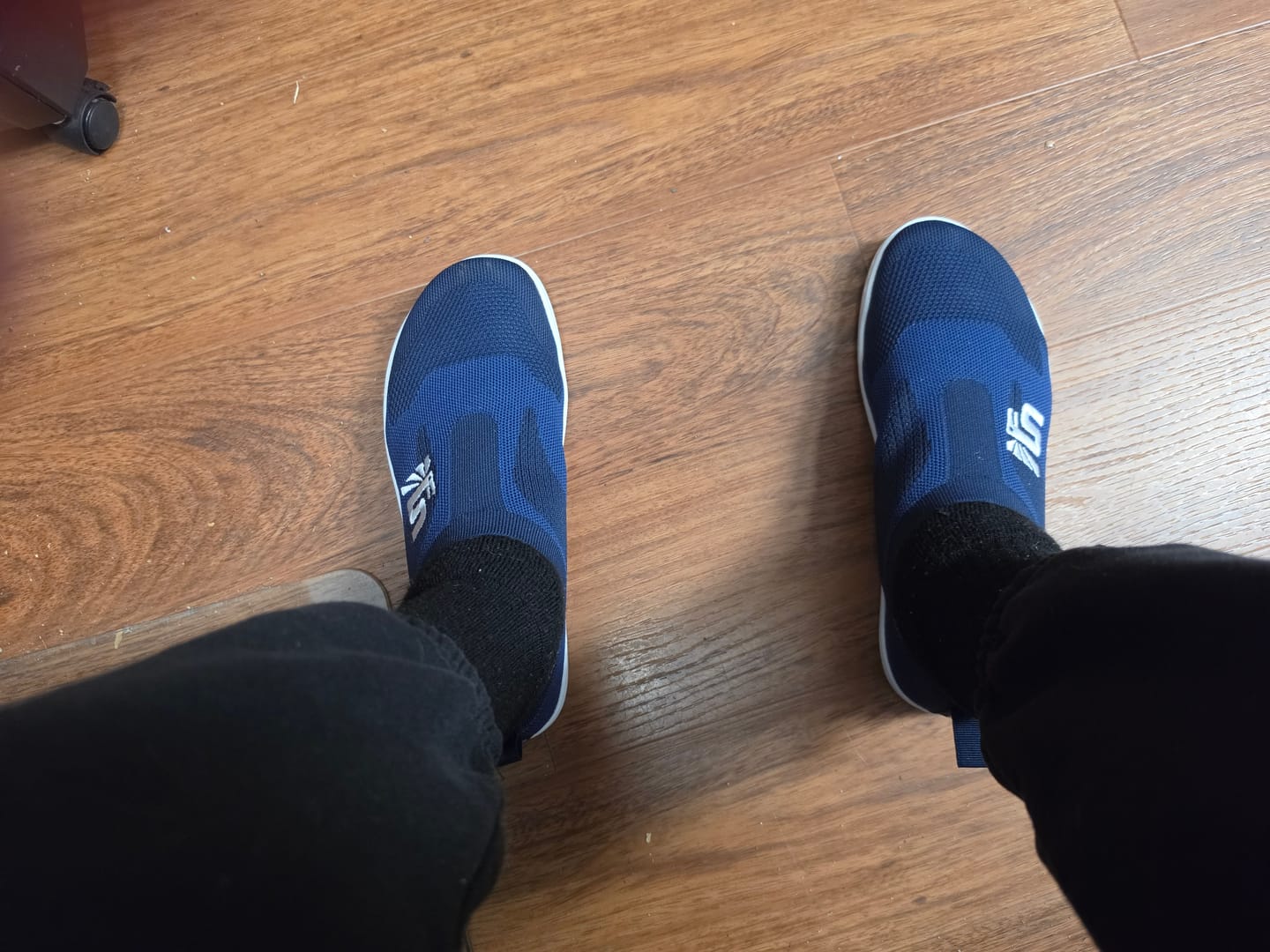 Customer photo review of THE OTISHI 2.0 LOW