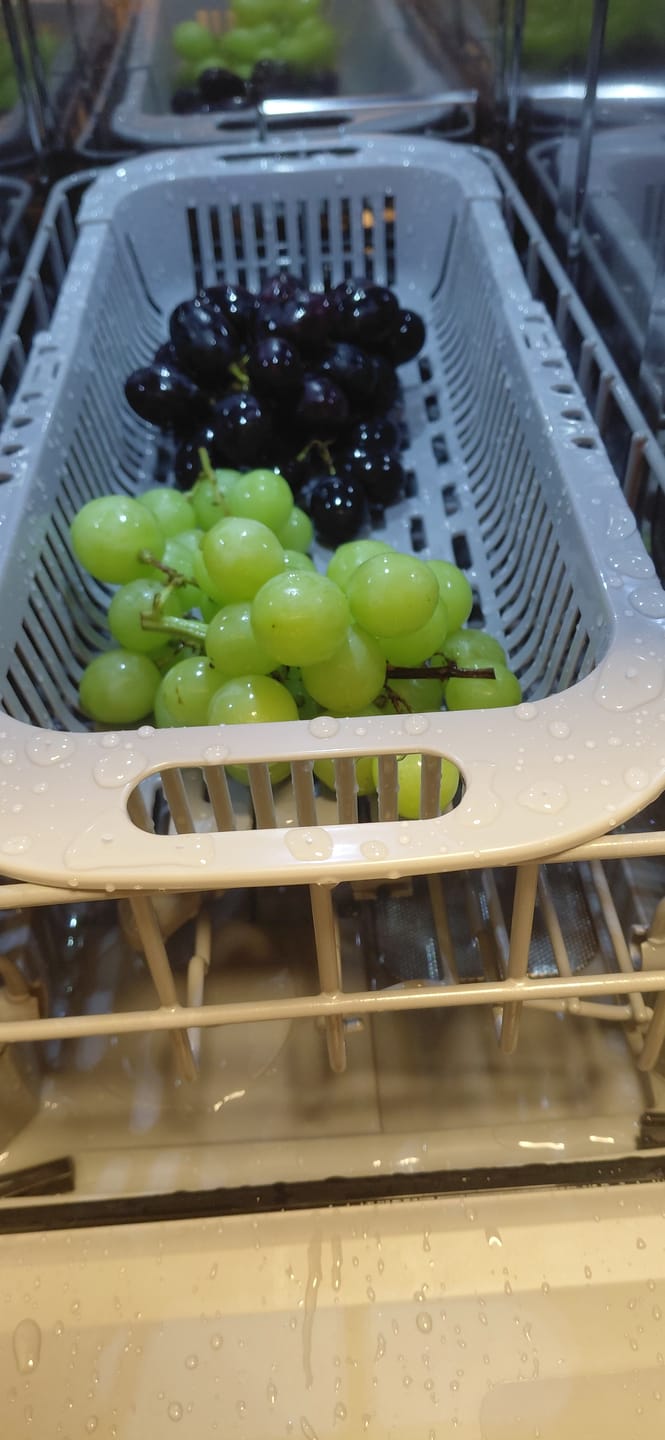 Customer photo review of Dual Tray