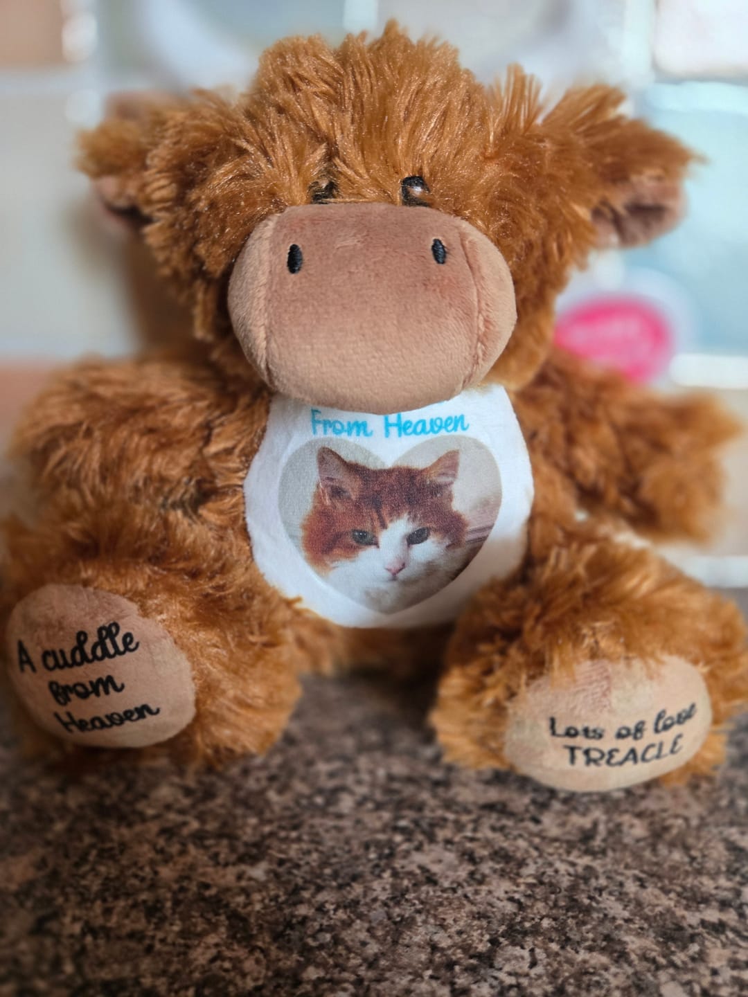 Customer photo review of A Cuddle from Heaven Personalised Photo Teddy Bear