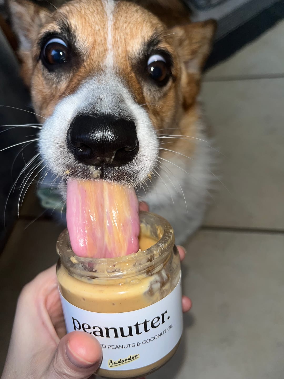 Customer photo review of Peanutter