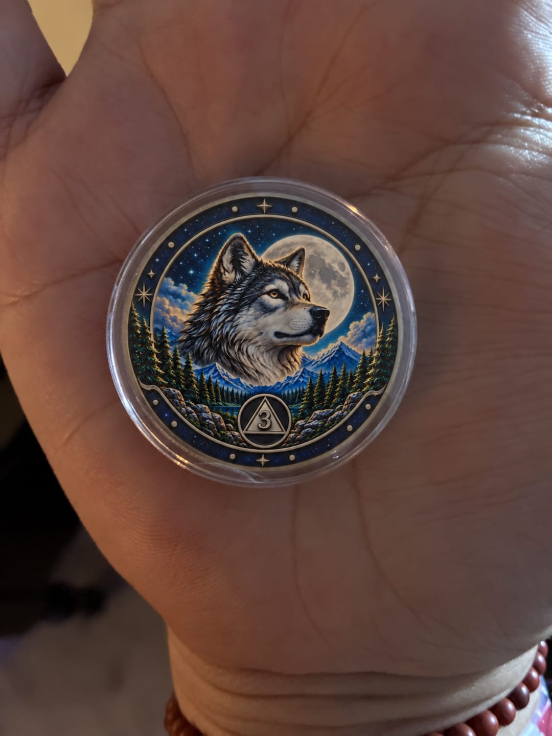 Customer photo review of Custom Phoenix Sobriety Coin