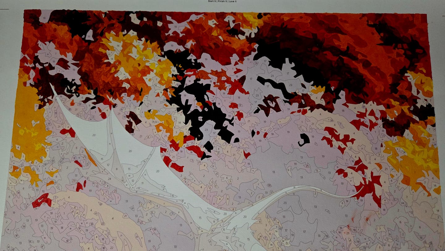 Customer photo review of Dragon Over Autumn | Paint by Number
