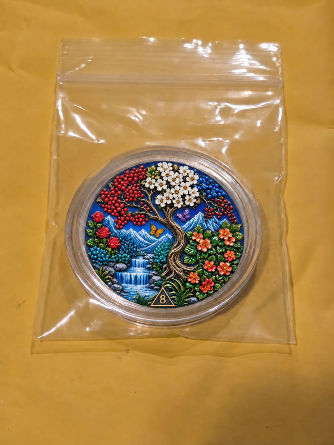 Customer photo review of Custom Phoenix Sobriety Coin