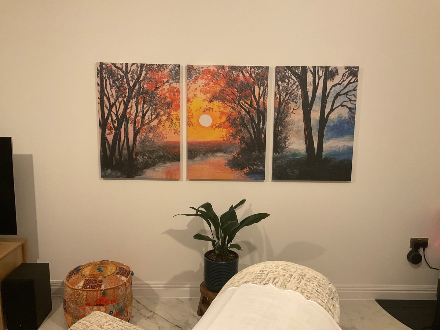 Customer photo review of River In The Evening Sun Trio Canvas Print