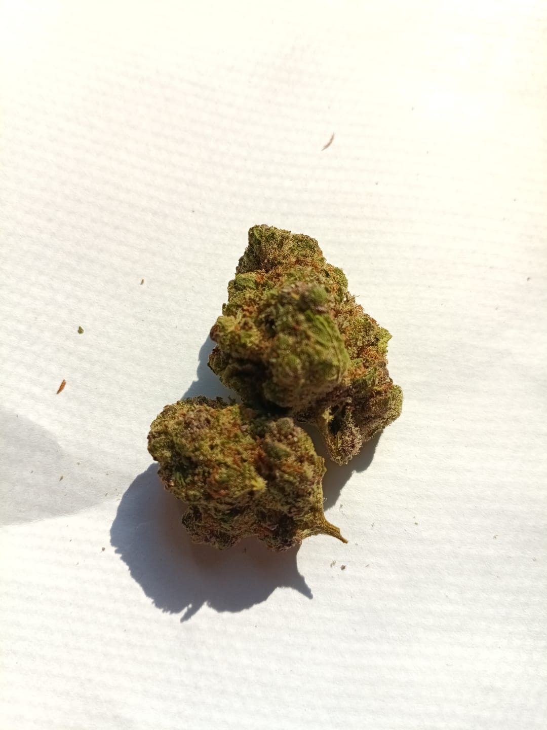 Customer photo review of Puffaroo - Trop Cherry - 28 Grams - Sativa