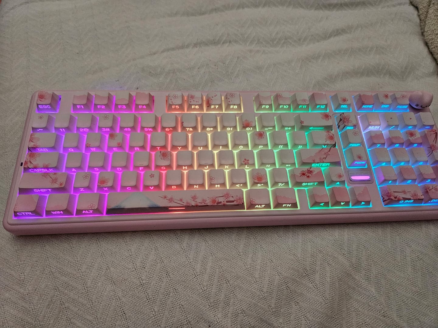 Customer photo review of Cherry Blossom Keyboard Keycaps