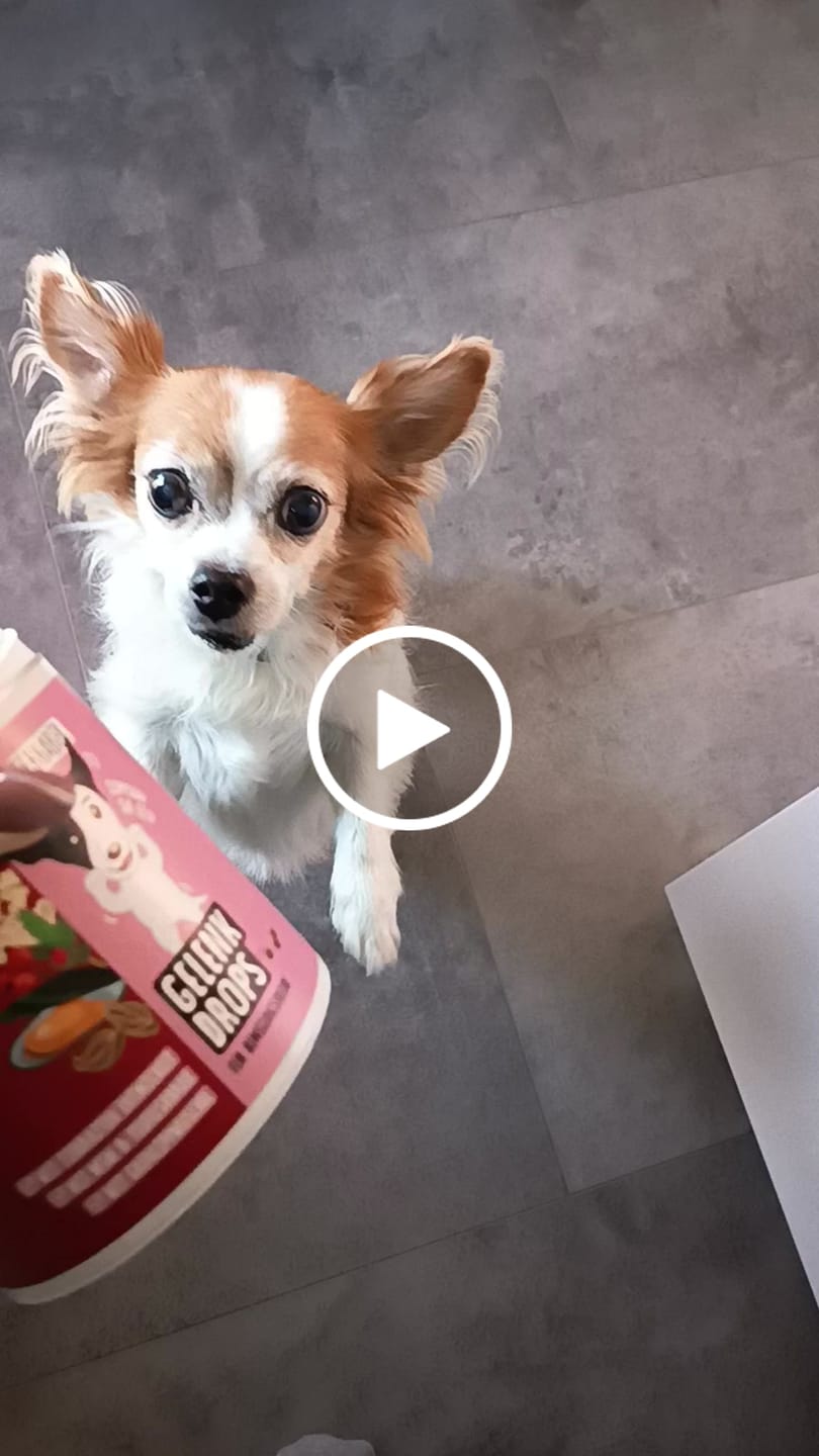 Customer video review of Wohlfühlsnacks für Hunde