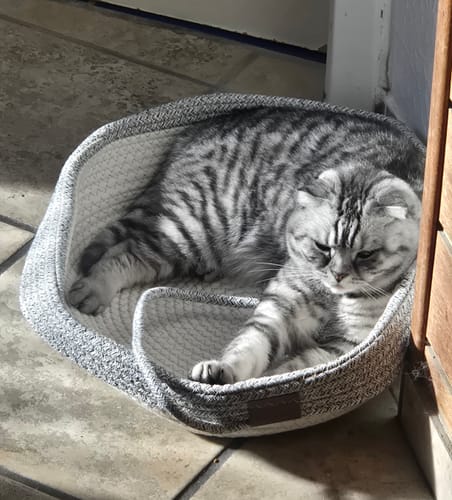 Customer's grey patterned Fellnest Katzenkorb with a cat relaxing inside on a tiled floor.