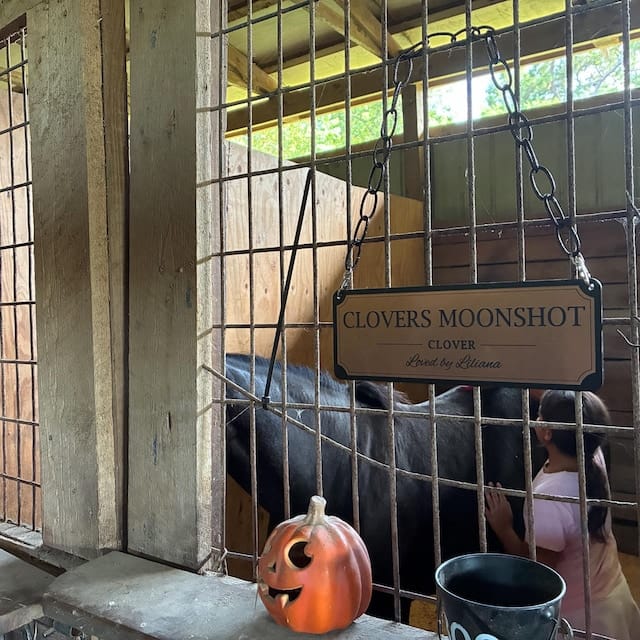 Customer photo review of The Registry Personalized Horse Stall Sign