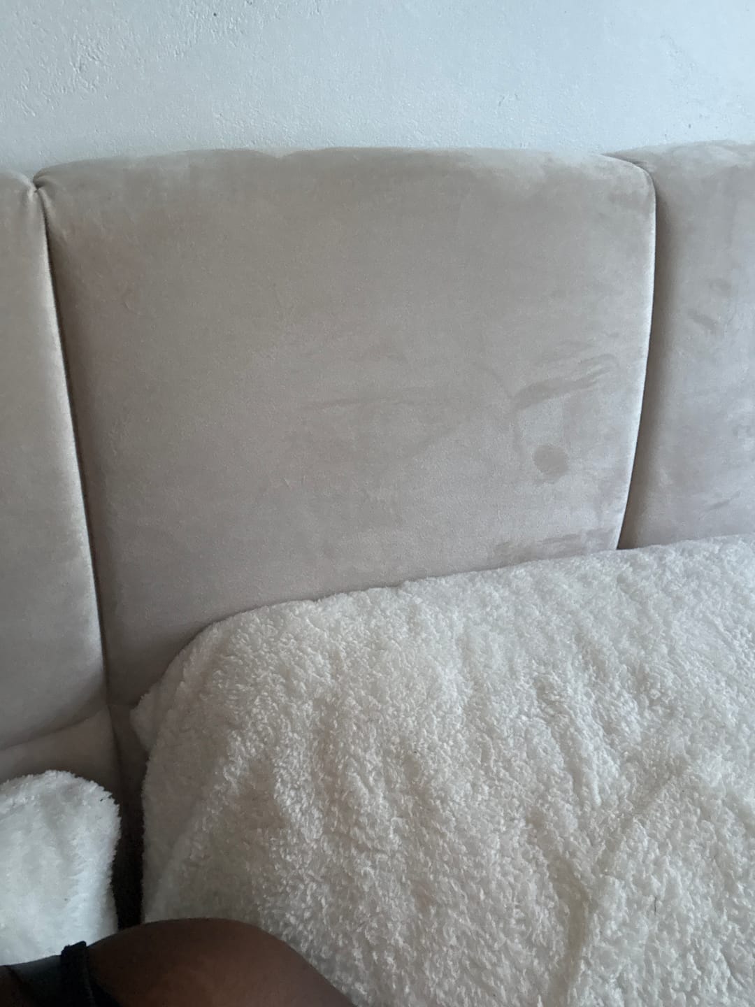 Customer photo review of Lit coffre MONCEAU – Tête de lit capitonnée design en velours ou bouclette – Coffre de rangement intégré