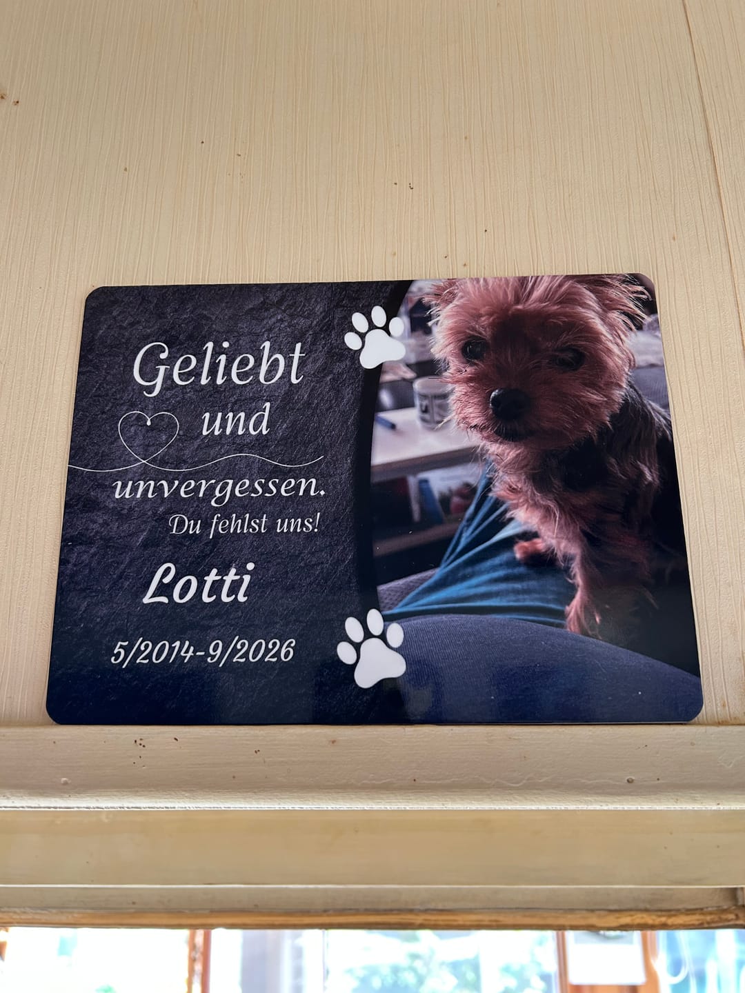 Customer photo review of Hunde Gedenktafel mit Foto & Spruch (UV- & Wetterfest)