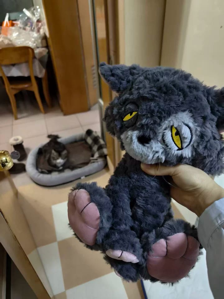 Customer photo review of Jeremy Cat