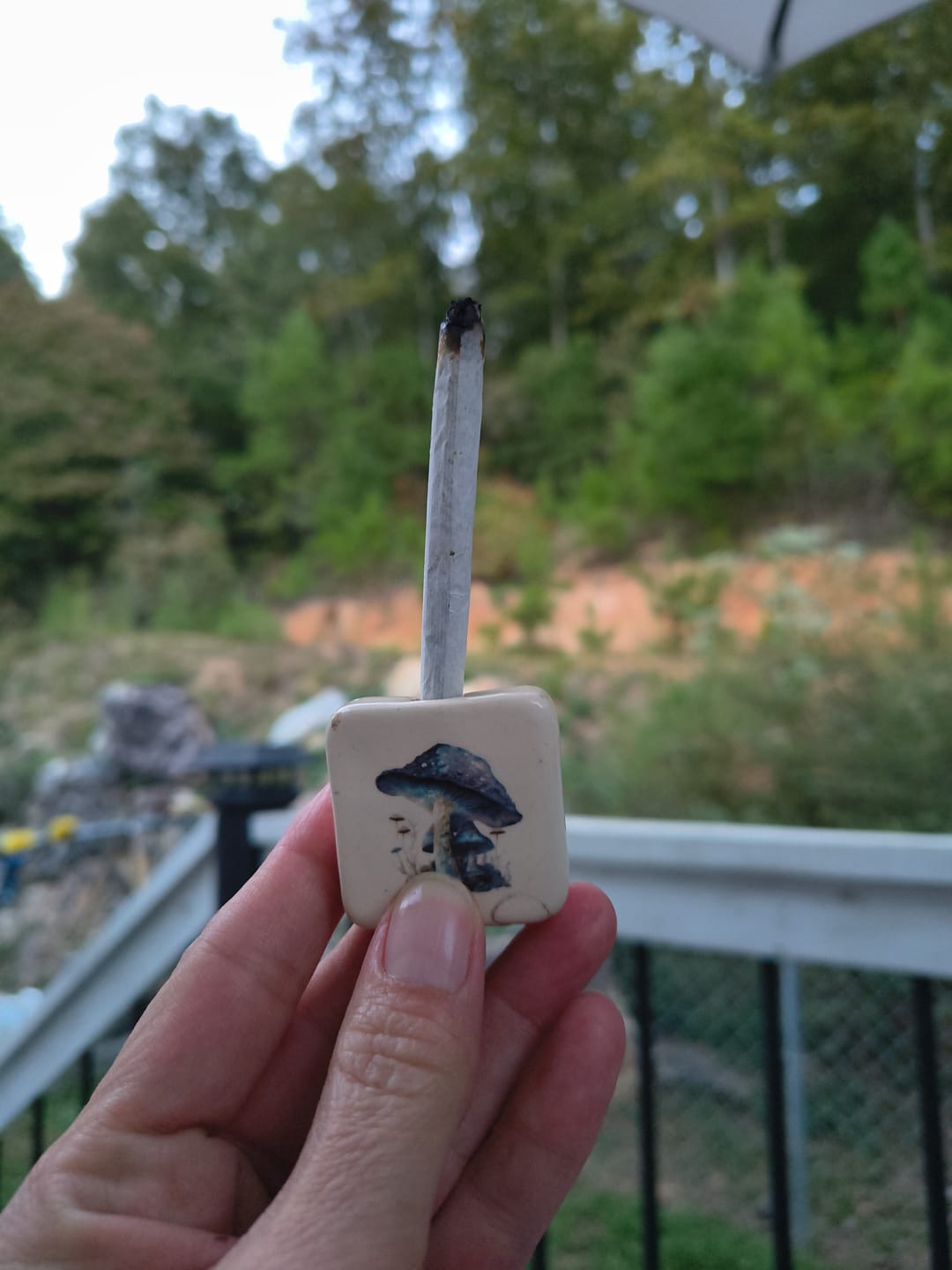 Customer photo review of Northern Lights - 28 Grams - Indica