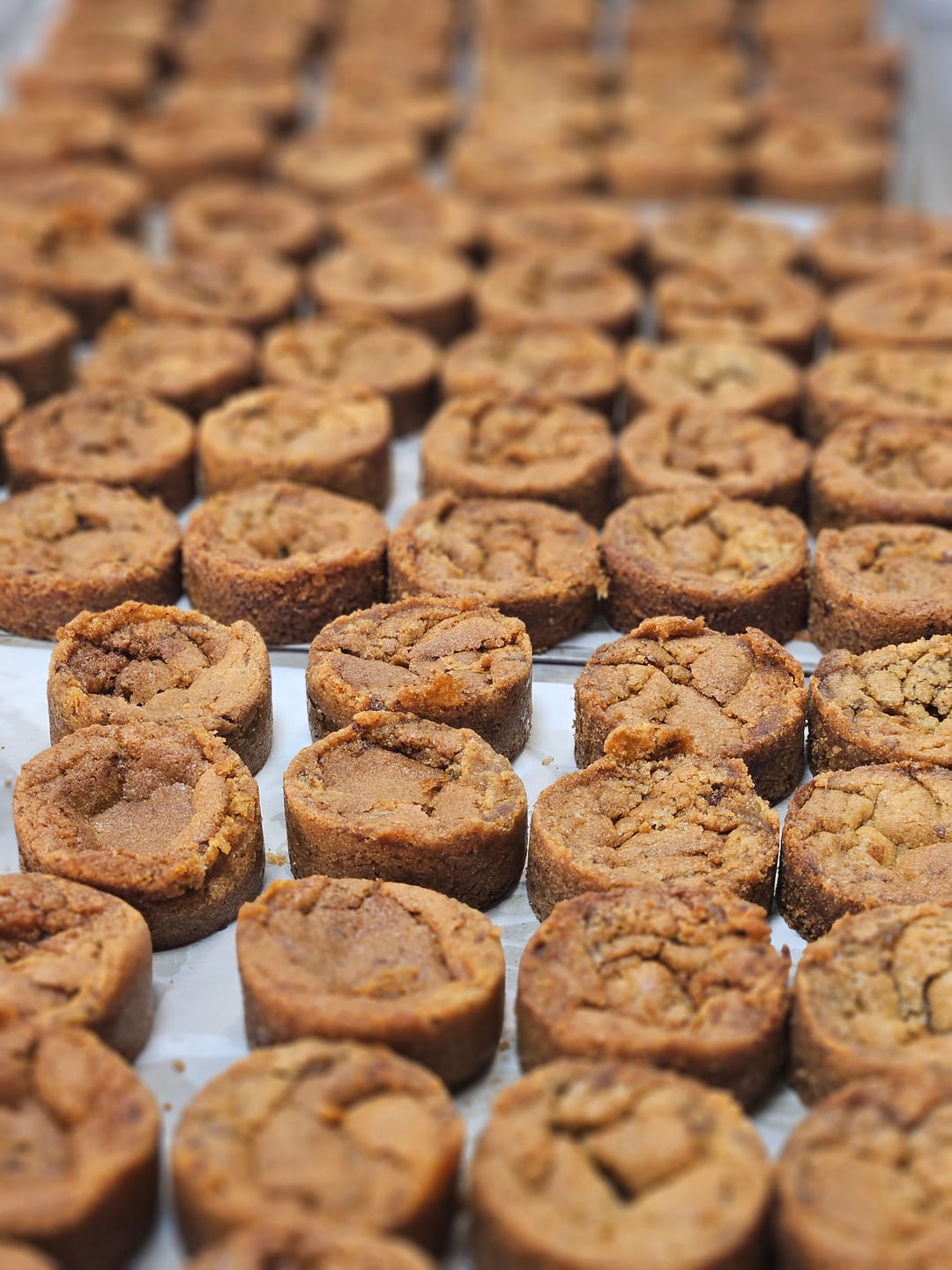 Customer photo review of Flexiform burgerbrød, medium