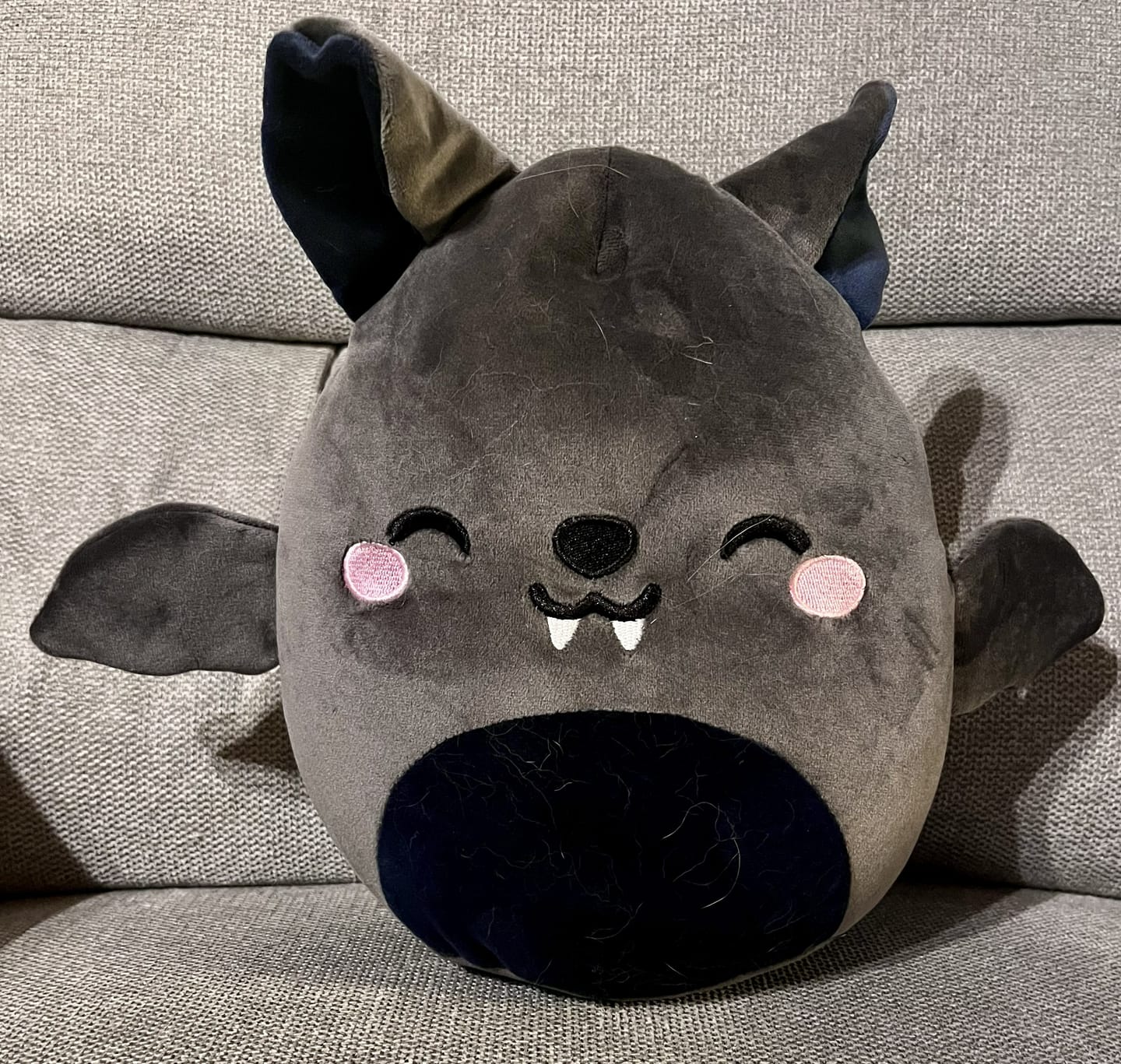 Customer photo review of Fledermaus-Plüschfigur – Kuscheliges Fledermaus-Kuscheltier aus weichem Plüsch