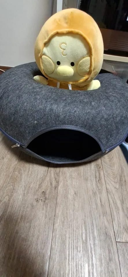 Customer photo review of Felt Donut Cat Bed & Tunnel – 2-in-1 Zip-Apart Hideaway
