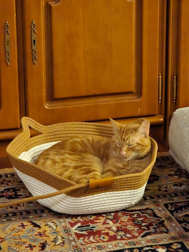 Customer's orange tabby cat sleeping peacefully in an Instinct Basket on a rug near wooden cabinetry.