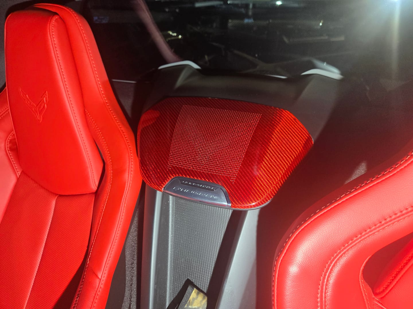 Customer photo review of C8 Corvette Real Carbon Fiber Waterfall Speaker Trim Cover with Corvette Logo | Interior upgrade (2020–2027)