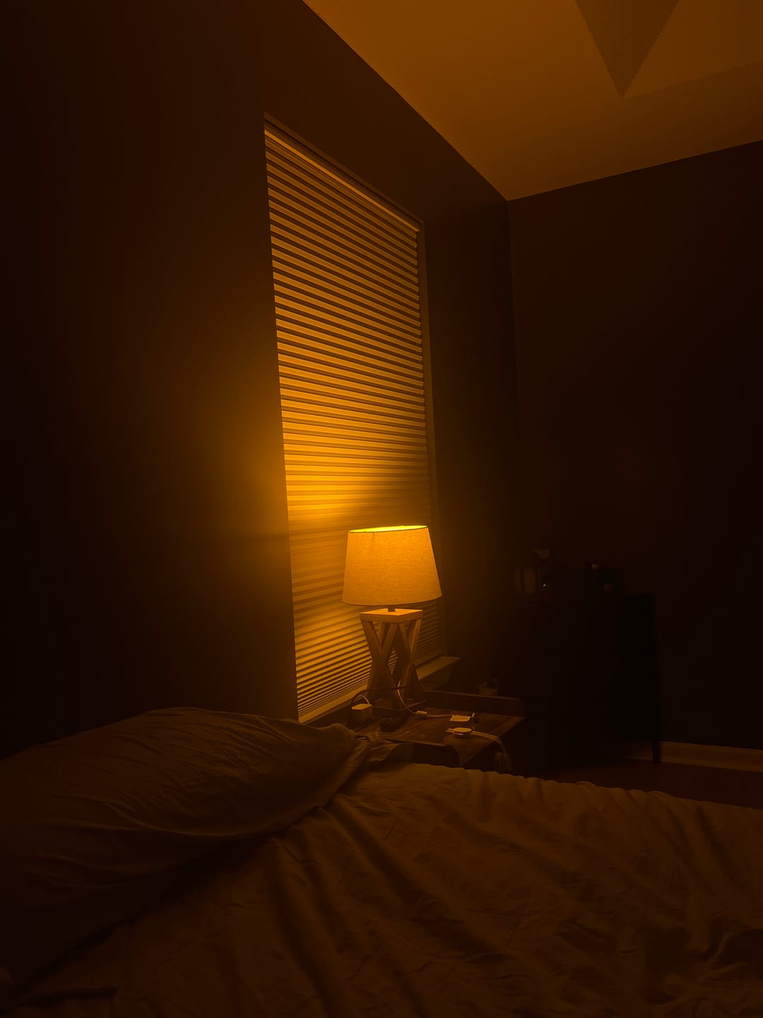 Customer photo review of Circadian Lightbulb™