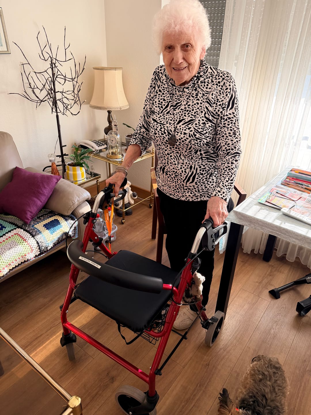 Customer photo review of Trendmobil Rollator nur 6,7 kg - inkl. Korb und Stockhalterung