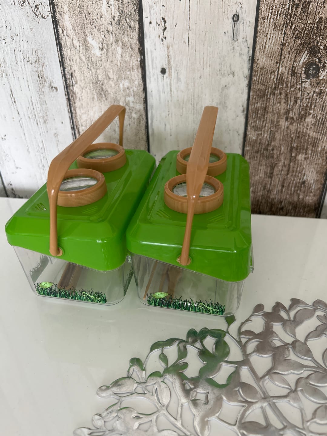 Customer photo review of Fien & Teun - Insectenbakje