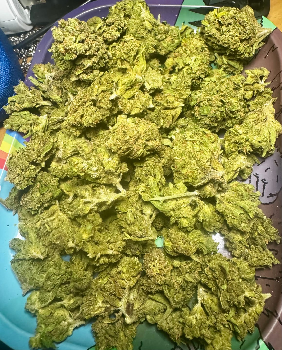 Customer photo review of LITTLES BRAND - Grape Gas - Littles - 28 Grams - Indica