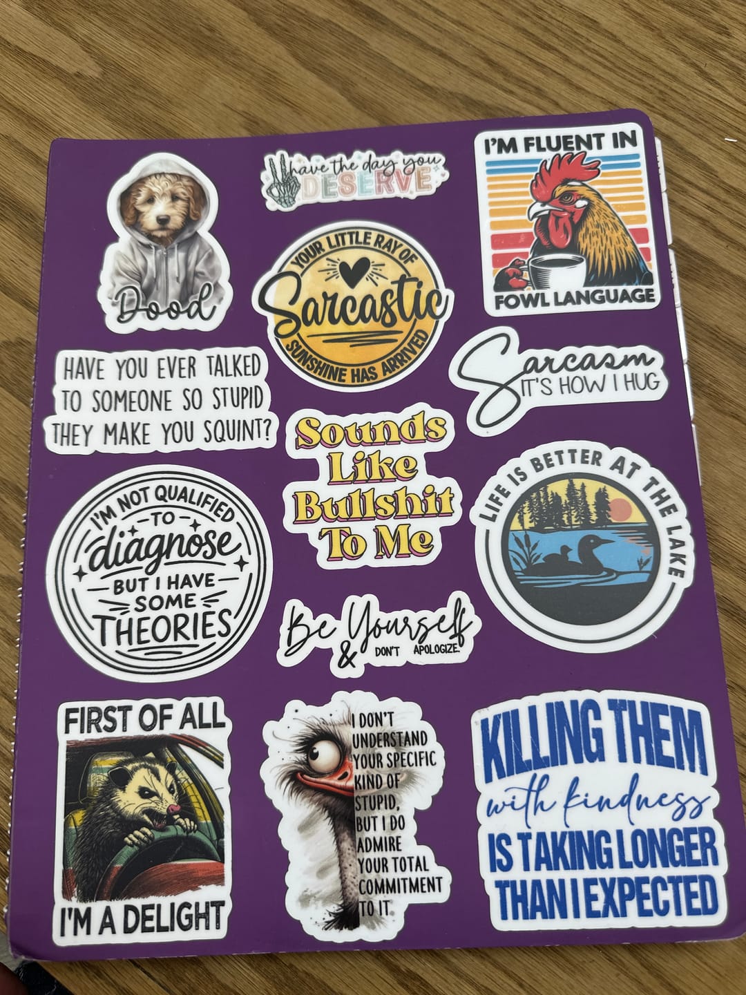 Customer photo review of Sarcasm It's How I Hug Sticker