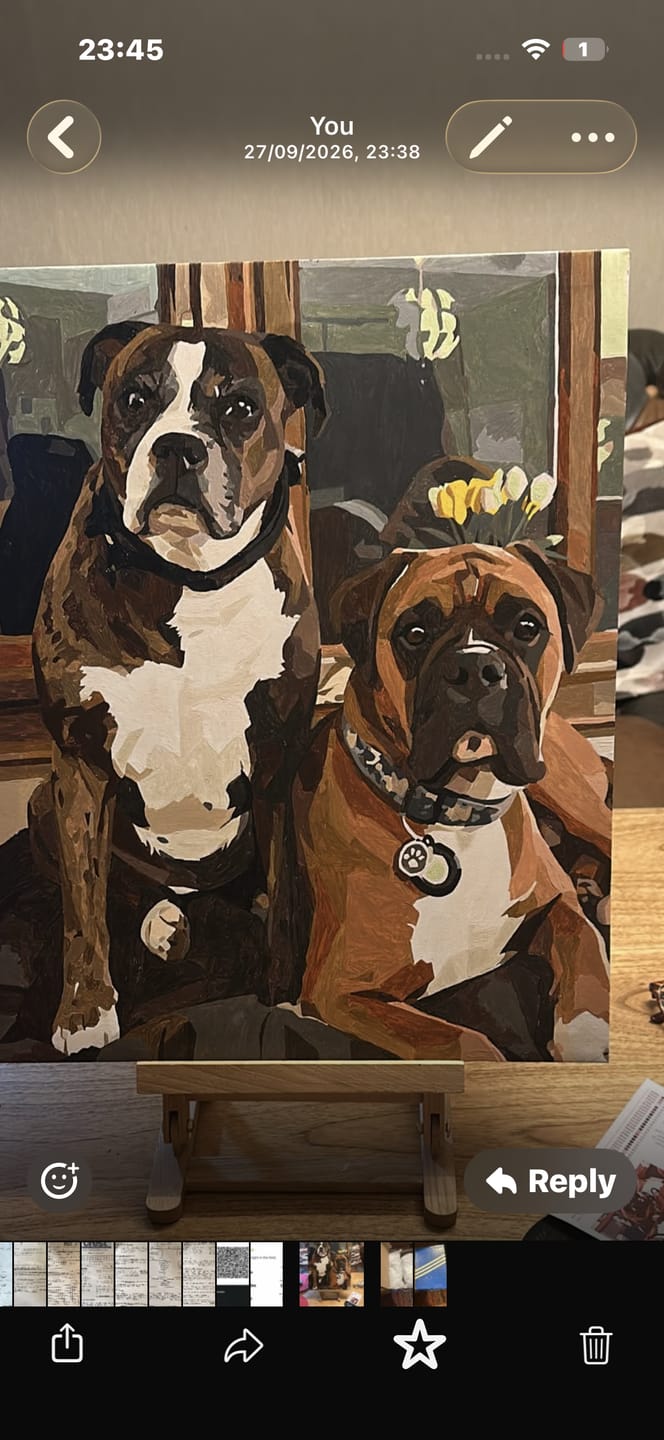 Customer photo review of Custom Paint By Numbers Kit – Turn Your Favorite Photo Into Art