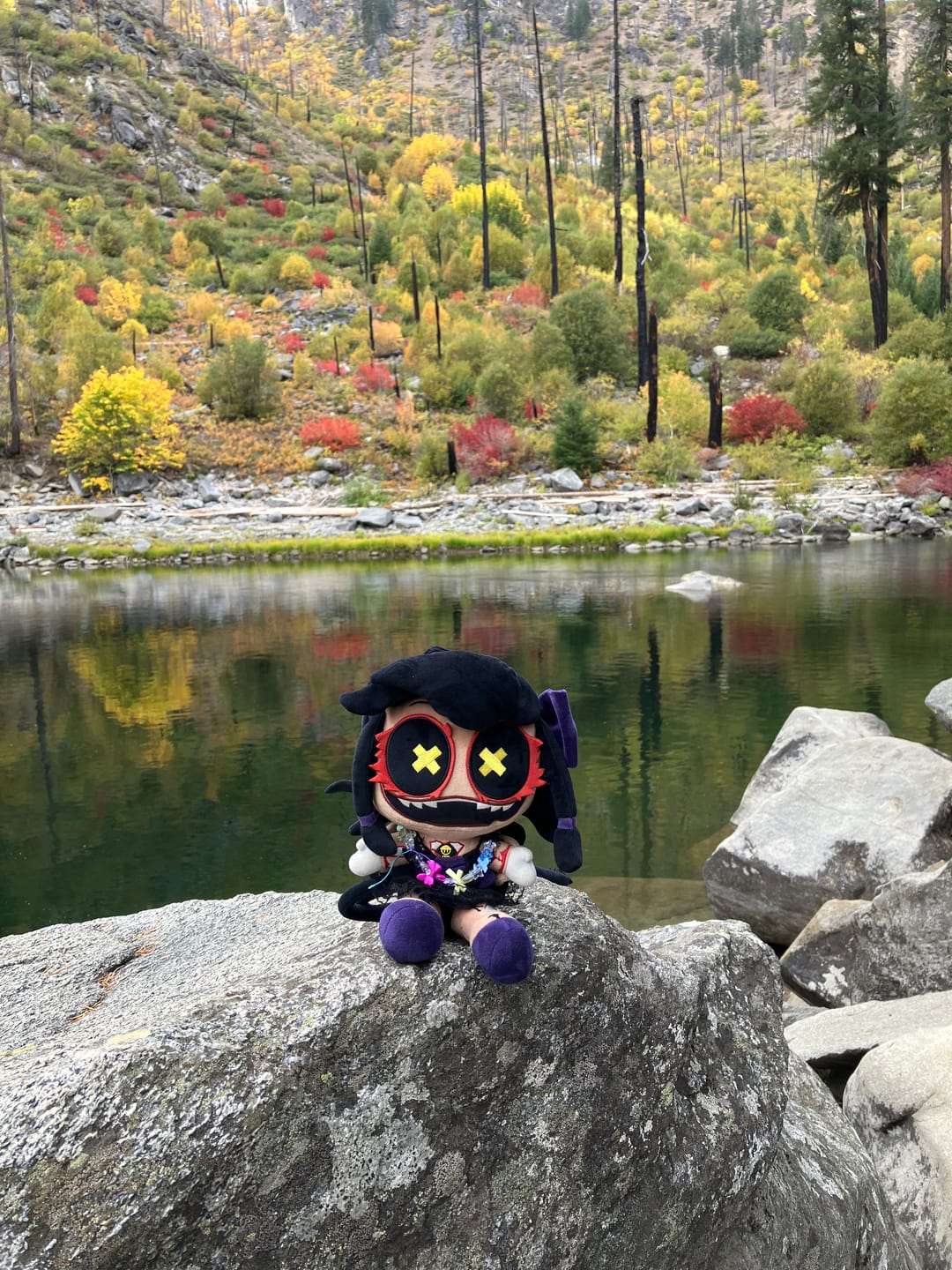 Customer photo review of Cyn Plush