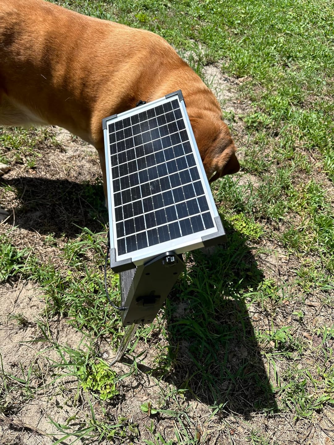 Customer photo review of GroundGuard Sentinel — Solar Bug Zapper