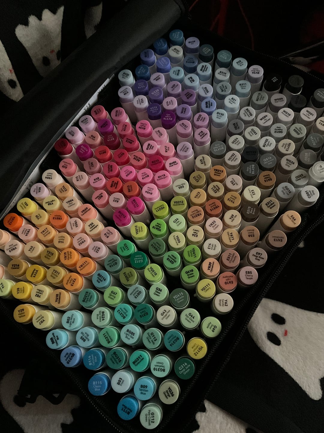 Customer photo review of Ohuhu Honolulu 216 Colors Dual Tips Alcohol Art Markers (New Color Codes)
