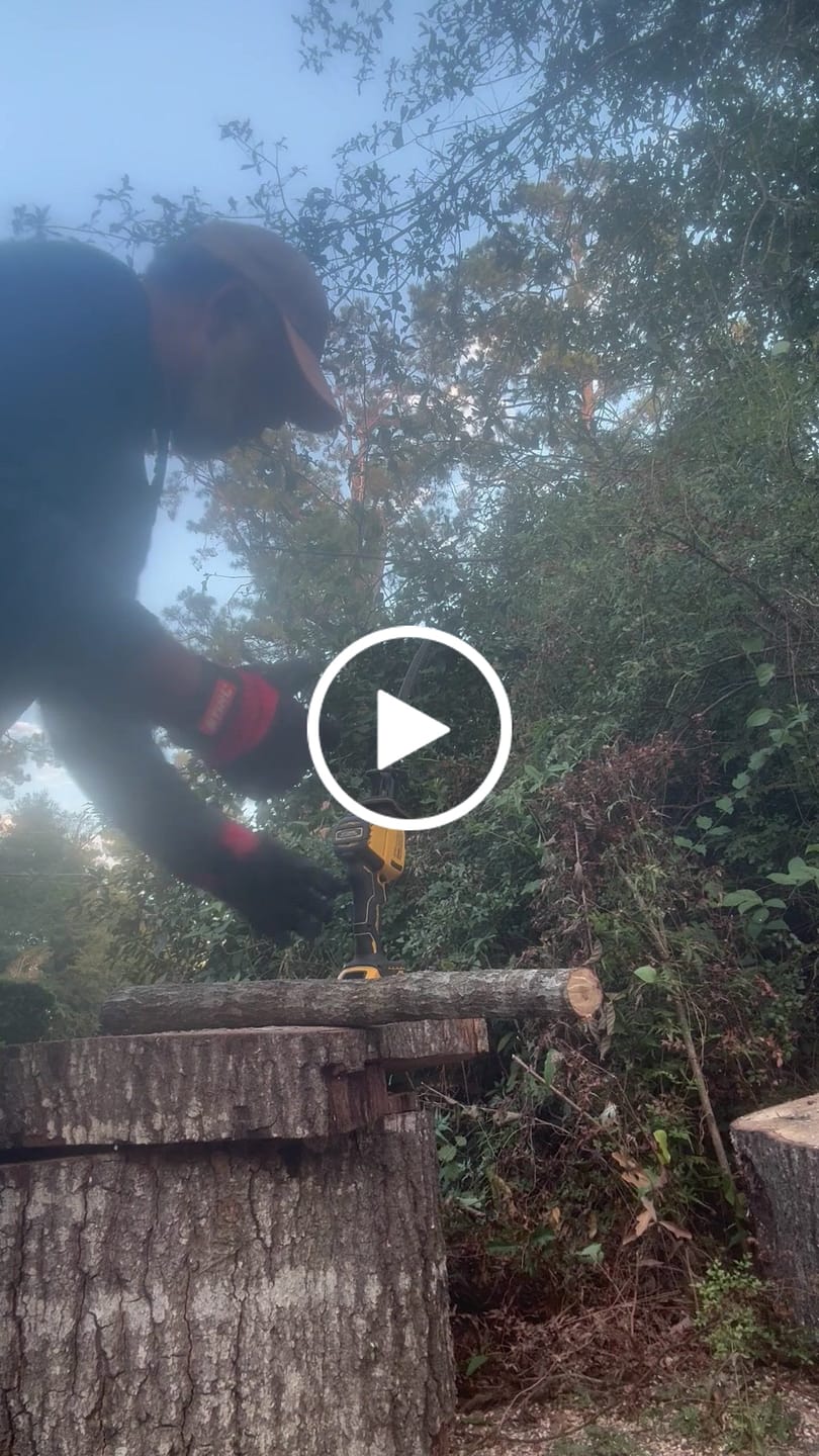 Customer video review of Tree Trimming/Wood Cutting – Japanese Teeth Arc Edge 6 TPI Reciprocating Saw Blade