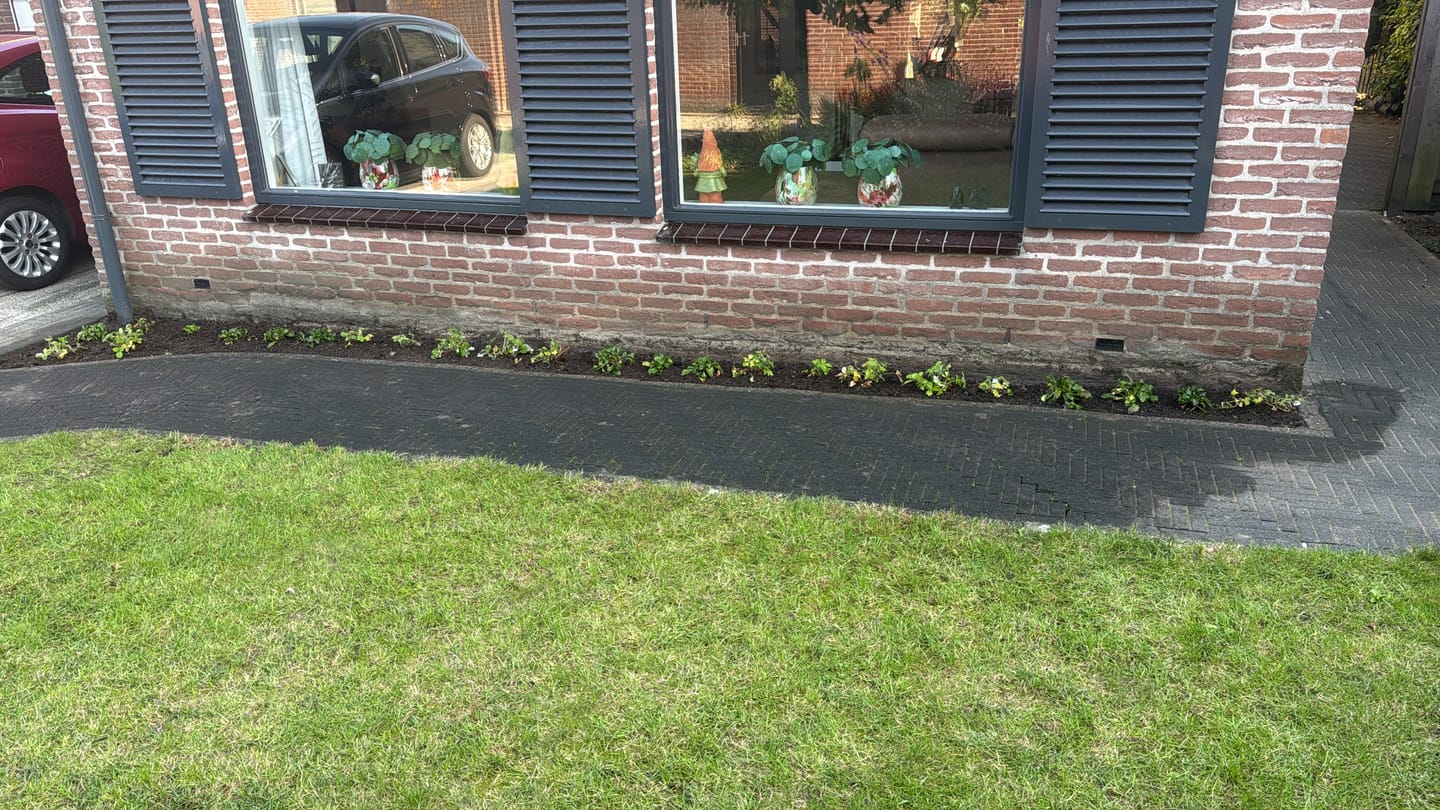 Customer photo review of Universeel aanplantgrond voor tuinplanten 1 tot 2 m2 Zak 30 liter - Culvita