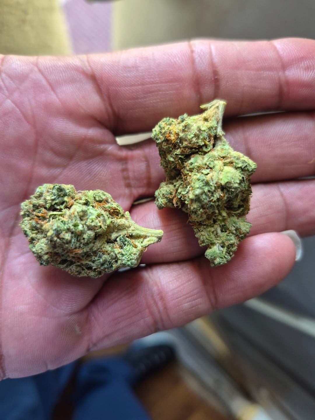 Customer photo review of Light Assist THCA Smalls