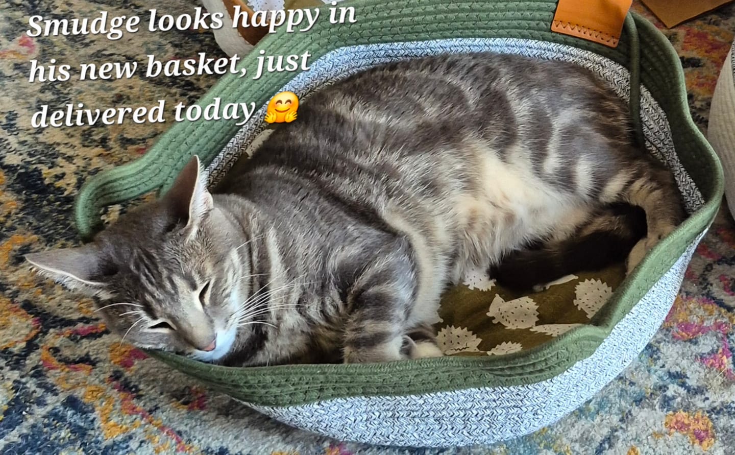 Customer photo review of Instinct Basket | Meet the first research-backed natural territory for indoor cats