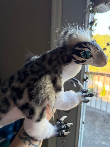 Customer photo review of Mercurian raptor - black and white