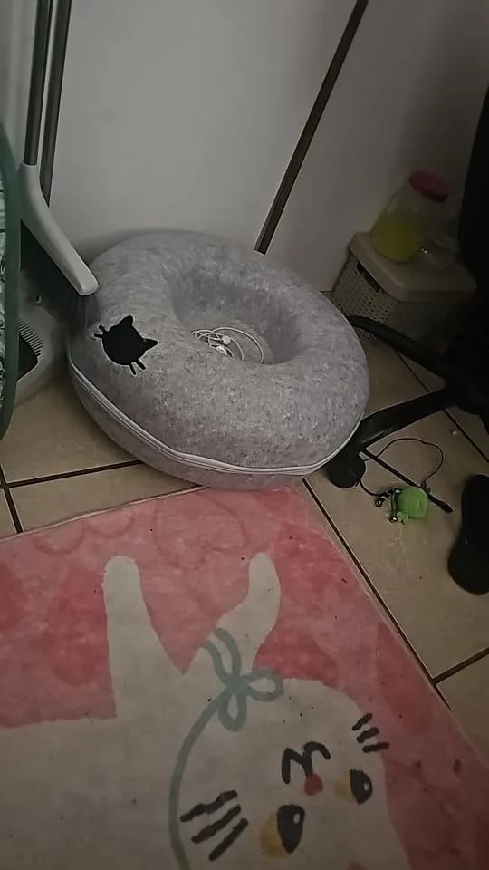Customer photo review of Felt Donut Cat Bed & Tunnel – 2-in-1 Zip-Apart Hideaway