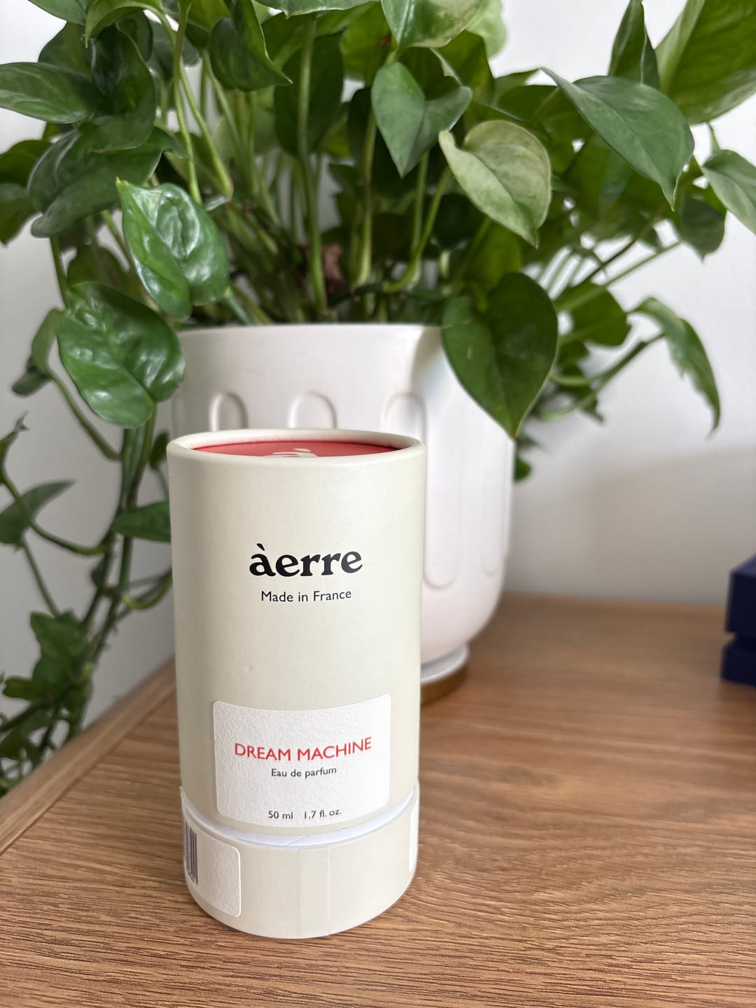 Customer photo review of Dream Machine