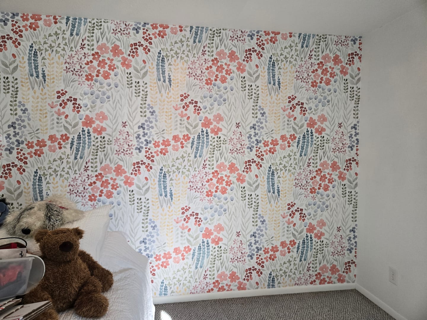 Customer photo review of Camellia - Colorful Watercolor Wildflowers and Plants Wallpaper