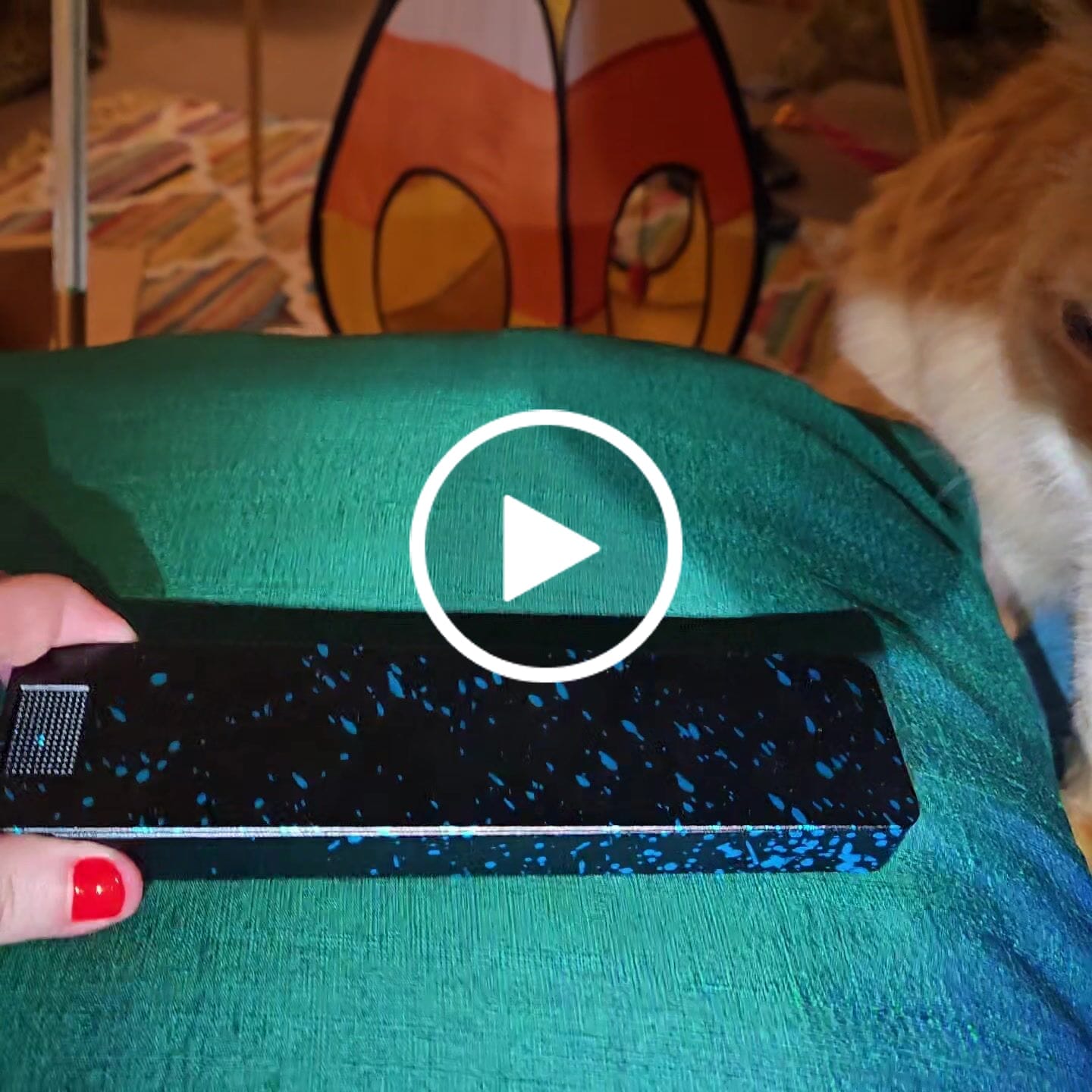 Customer video review of Weekly Case
